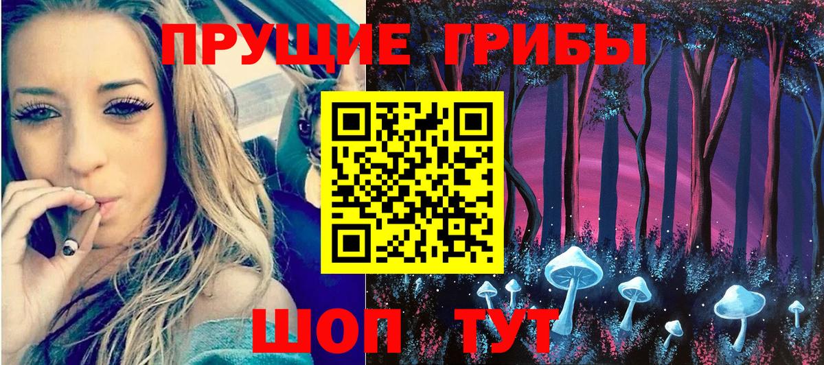 Псилоцибиновые грибы Cubensis Чапаевск